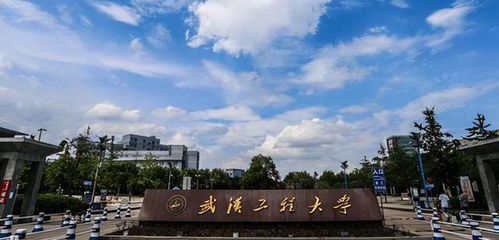 武漢工程大學化學與環境工程學院公布環境工程專業預調劑需求